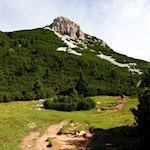 Der erste Streckenabschnitt führt durch Weidewiesen