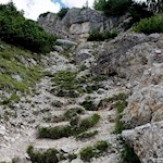 Der Paresberg erfordert doch etwas Trittsicherheit