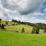 Malerisch präsentieren sich die Armentarawiesen