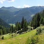 Auf dem breiten Wanderweg zurück nach Weißenbach