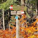 Von Klobenstein folgen wir dem Weg Nr. 15 Richtung Oberbozen