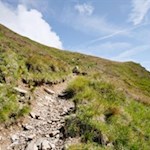 Der schmale Steig bahnt sich seinen Weg durch die urwüchsigen Bergweiden