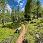 Im sanften Anstieg zum Limides See