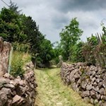 Auf dem Weg Nr. 10 in Richtung St. Michael