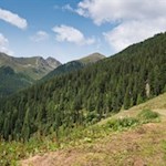 Anstieg zur Kapaire Alm