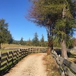 Leichte Wanderung auf dem Salten