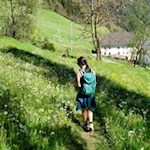 Der Pfunderer Höfeweg führt durch blühende Wiesen