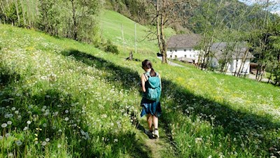 Der Pfunderer Höfeweg führt durch blühende Wiesen