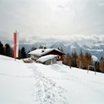 Inmitten einer bezaubernden Natur liegt die Weizgruberalm