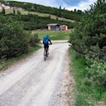 Der Weg auf das Rittner Horn erfreut sich auch bei Mountainbikern großer Beliebtheit