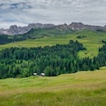 Unser Blick schweift zu den Rosszähnen