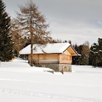 Almidyll am Rande der Villanderer Alm