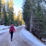 Sanft zieht sich der breite Wanderweg zur Jenesier Jöchl Alm