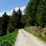 Der breite Wanderweg zur Moarhofalm