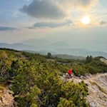 Im Schein der linden Abendsonne zur Gurndin Alm