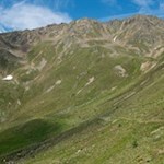 Sanft schlängelt sich der Almweg 2000 durch die berückende Almlandschaft