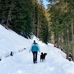 Winterwanderung zur Schönbergalm