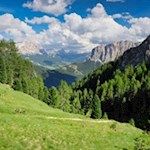 Der Weg Nr. 4B fällt ins Mühlental ab