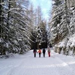 Winterwanderung zur Prantneralm