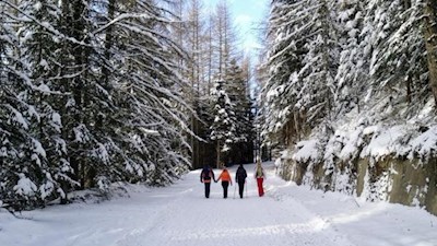 Winterwanderung zur Prantneralm