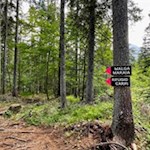 L'escursione verso la Malga Maraia è ben segnalata