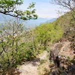 Unsere Wanderung führt durch aussichtsreiche Buschhänge