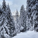 Durch den trauten Winterwald zur Glatschalm