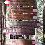 Der Weg zu den Reinbachfällen ist bestens ausgeschildert