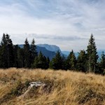 Blick auf den Schlern