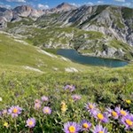 Zu unseren Füßen schimmert der Hochalmsee