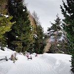 Rodeln von der Gasserhütte auf der Villanderer Alm