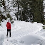 Winterwanderung zur Halslhütte