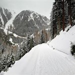 Auf dem Rückweg von der Steinzgeralm