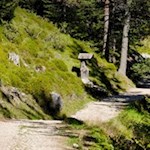 The via crucis near Selva di val Gardena is adorned by 15 artistically carved stations