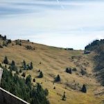 Hinter diesem Almhang liegt das aussichtsreiche Jakobstöckl