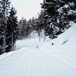 Die Rosskopf Rodelbahn verspricht ein ungetrübtes Wintervergnügen