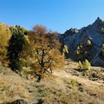 Auf einsamen Pfaden in Richtung Hochfeld