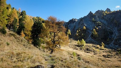 Auf einsamen Pfaden in Richtung Hochfeld
