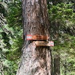 The trail number 215 leads to Sorapis lake