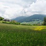 Nahe dem Katzenlochbühel