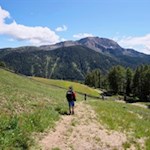 Vor der Kulisse des Villanderer Berges zur Sunnolm