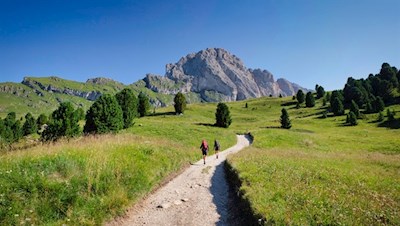 Gently climbs the path to the Pieralongia mountain hut