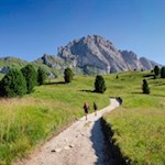 Il sentiero sale dolcemente fino al rifugio Pieralongia