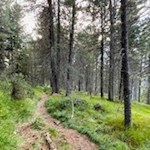 Der Rundweg Sam zieht sich in einem weiten Bogen zur Rinderplatzhütte