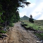 Von der Taistner Alm führt der anfangs breite Weg Nr. 54B in Richtung Rudlhorn