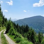 Auf dem breiten Forstweg zur Hühnerspielhütte