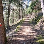 Der Rundweg St. Leonhard ist gut markiert