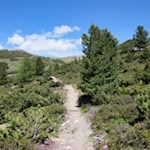 Von der Pfnatschalm führt ein Steig zur Sunnolm