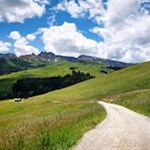 Durch die weiten Almwiesen zur Laranzer Schwaige