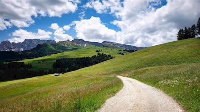 Durch die weiten Almwiesen zur Laranzer Schwaige